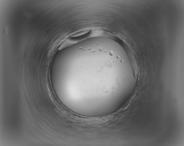 X0000051250001200507011704