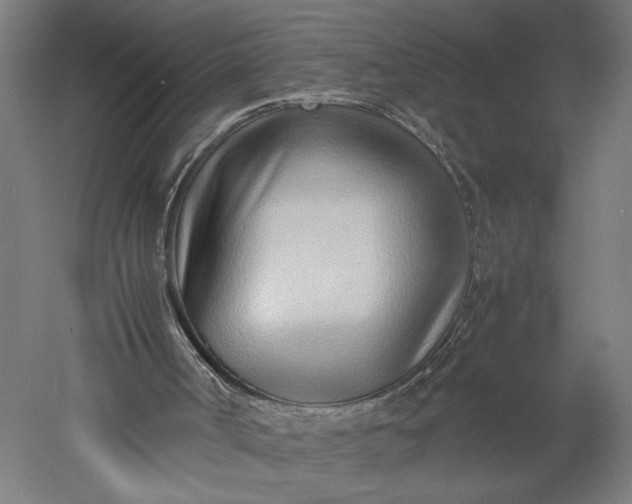 X0000051250002200507011704