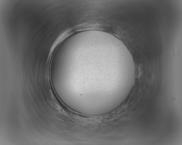 X0000051250004200507011704