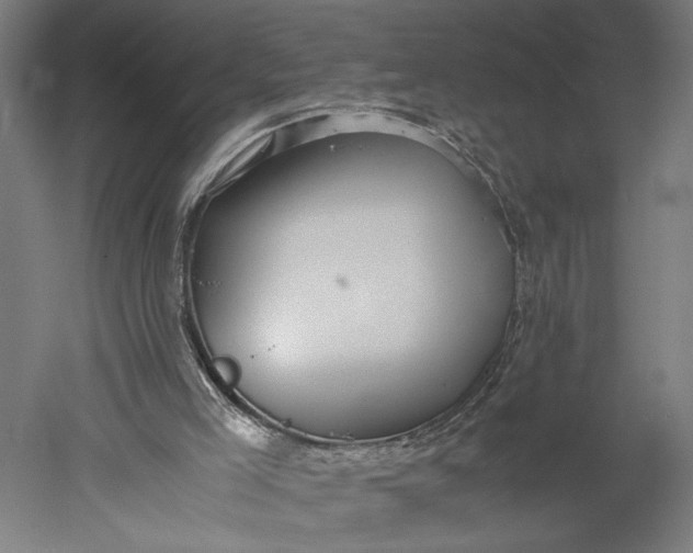 X0000051250005200507011704