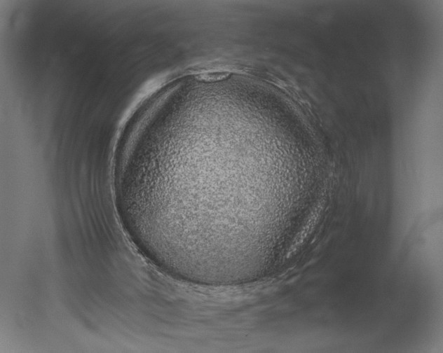 X0000051250006200507011704