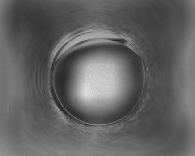 X0000051250007200507011704