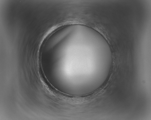 X0000051250008200507011704