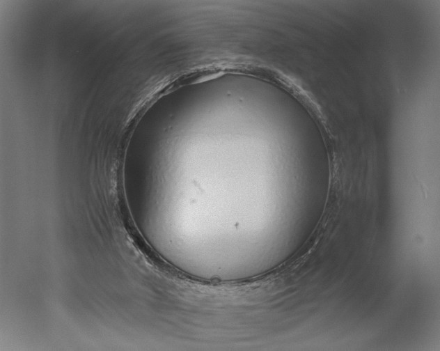 X0000051250010200507011704