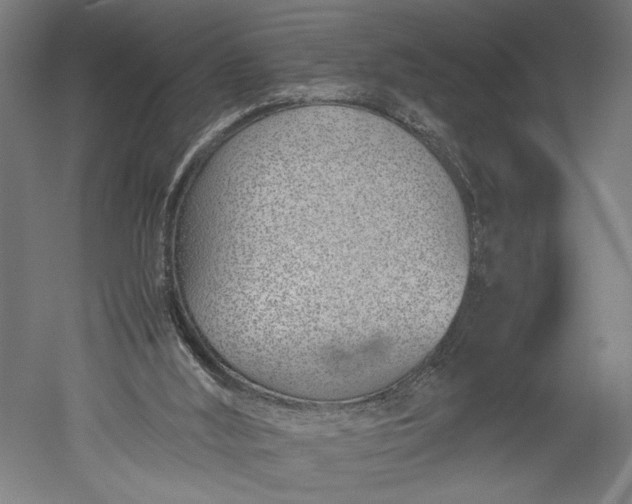 X0000051250012200507011704