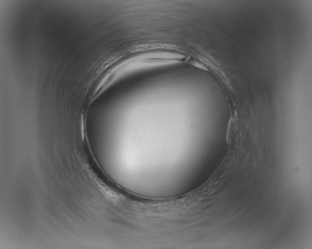 X0000051250013200507011704