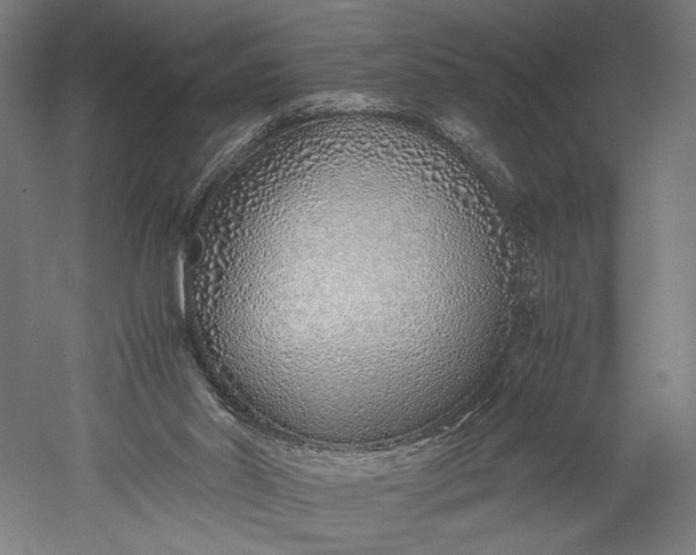 X0000051250014200507011704