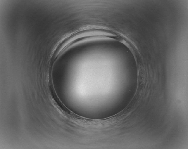 X0000051250015200507011704