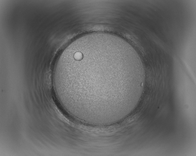 X0000051250016200507011704