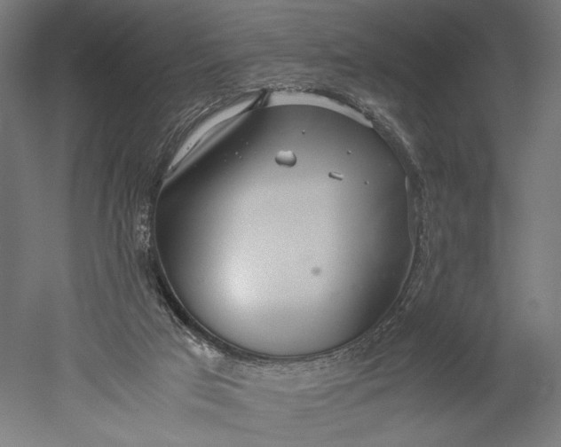 X0000051250017200507011704