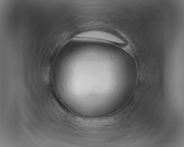 X0000051250018200507011704