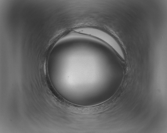 X0000051250019200507011704