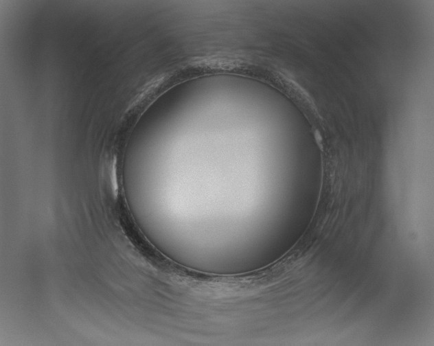 X0000051250020200507011704