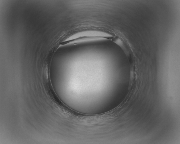 X0000051250021200507011704