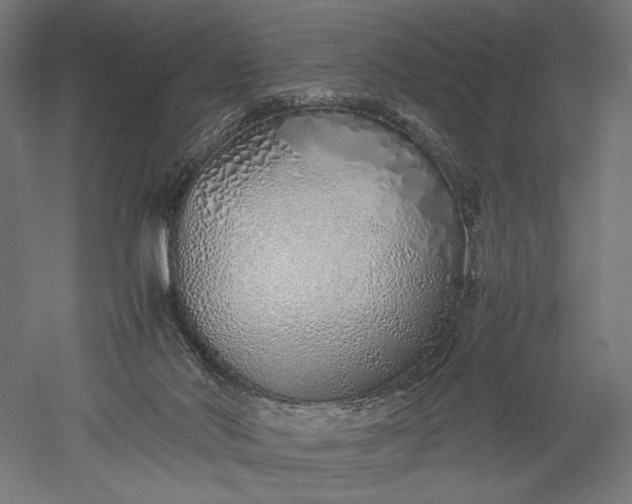 X0000051250022200507011704