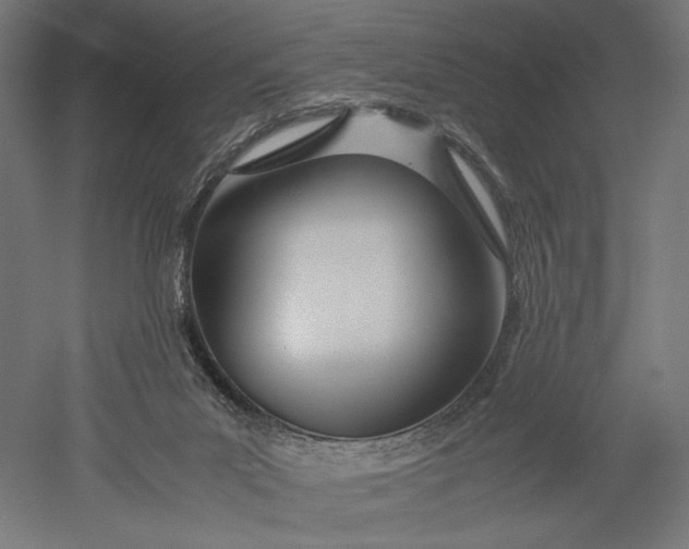 X0000051250023200507011704