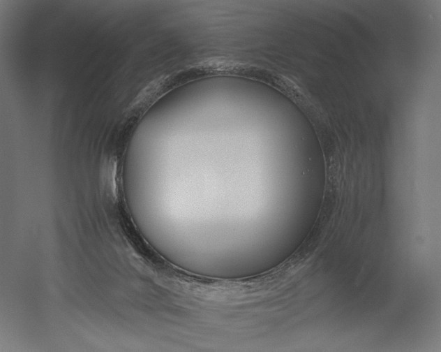 X0000051250024200507011704