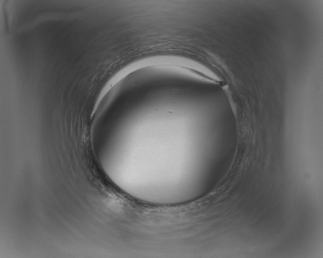 X0000051250025200507011704