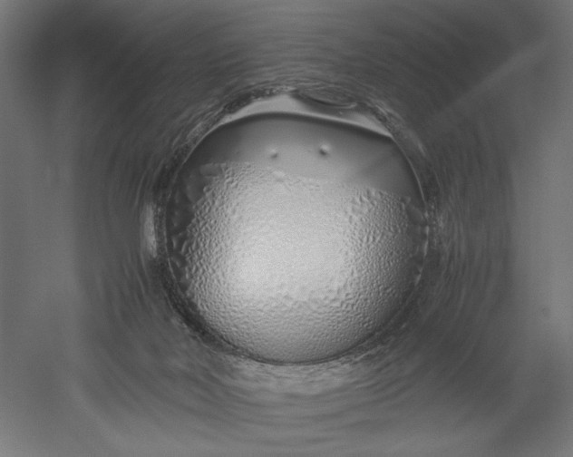 X0000051250026200507011704