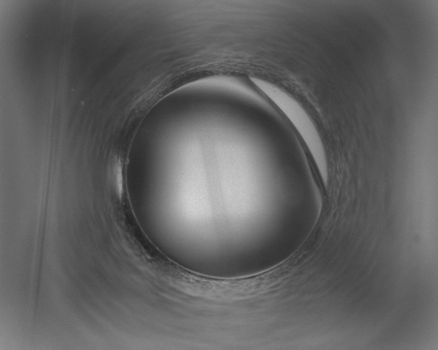 X0000051250027200507011704