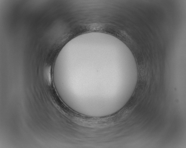 X0000051250028200507011704