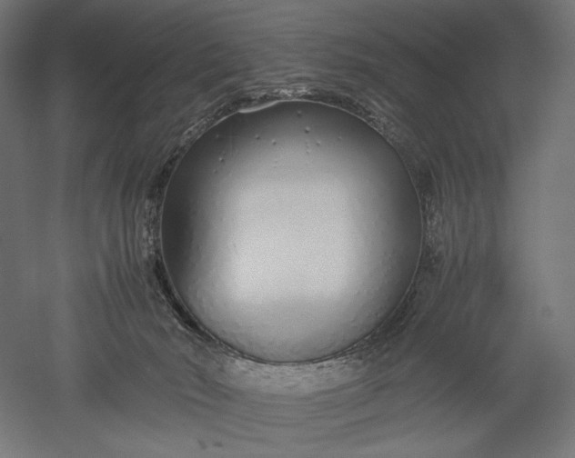 X0000051250030200507011704