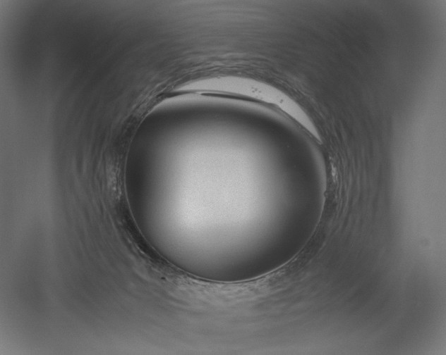 X0000051250031200507011704