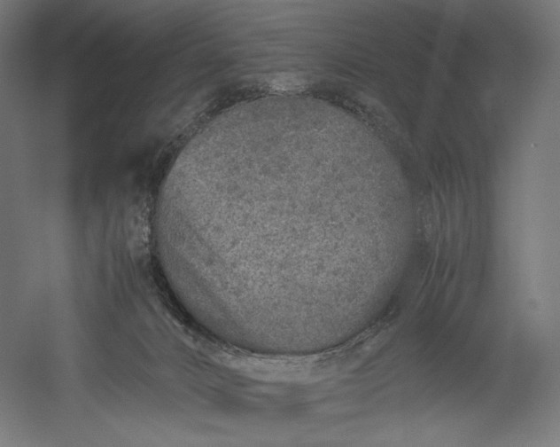 X0000051250032200507011704