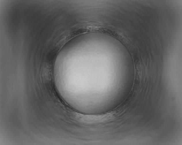 X0000051250034200507011704