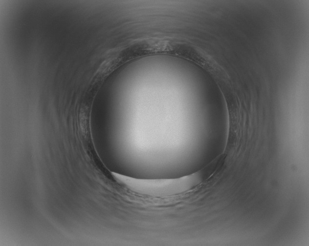 X0000051250035200507011704