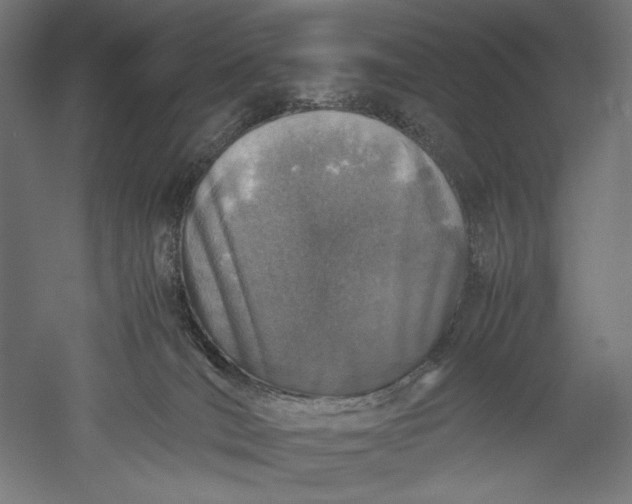 X0000051250036200507011704