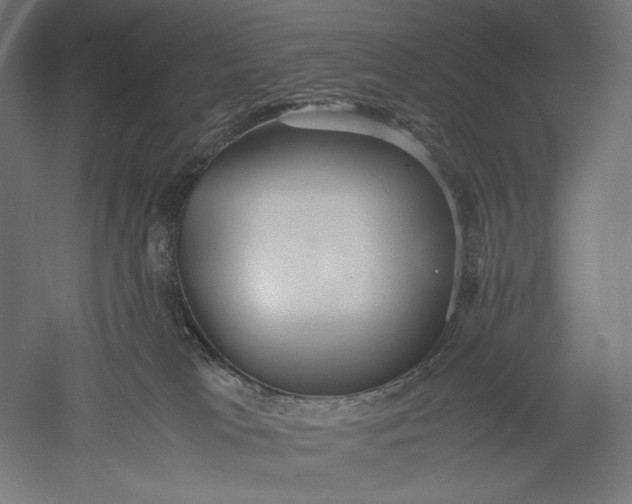 X0000051250037200507011704