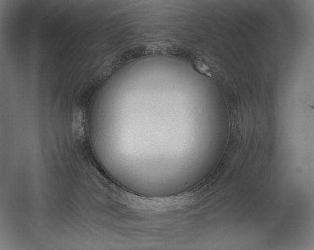 X0000051250038200507011704