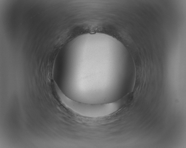 X0000051250039200507011704