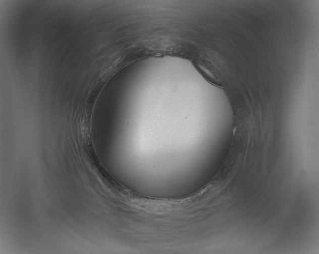 X0000051250040200507011704