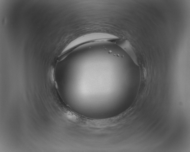 X0000051250041200507011704