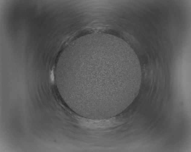 X0000051250042200507011704