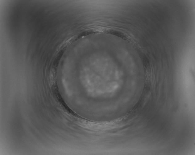 X0000051250043200507011704