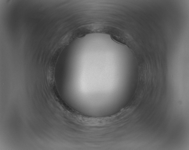 X0000051250044200507011704