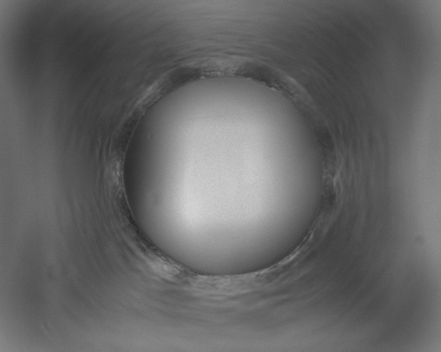 X0000051250045200507011704