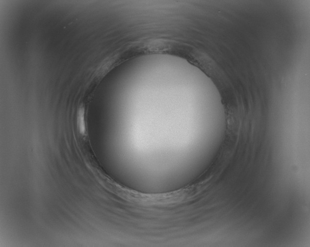 X0000051250046200507011704