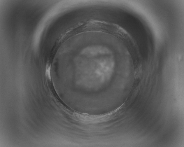 X0000051250047200507011704