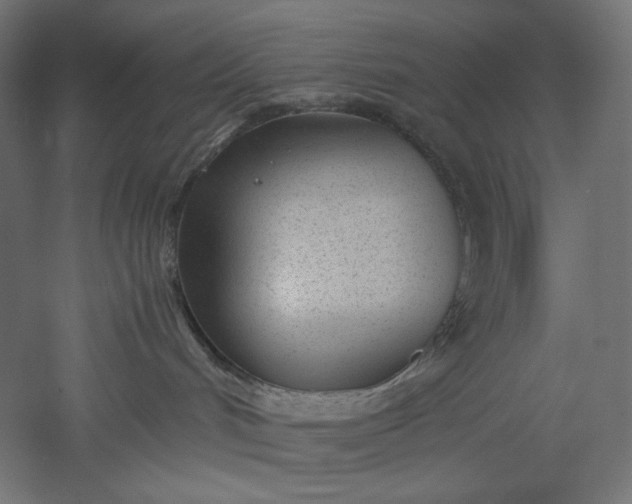 X0000051250048200507011704