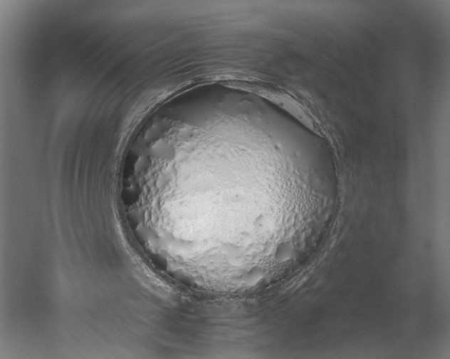 X0000051250049200507011703