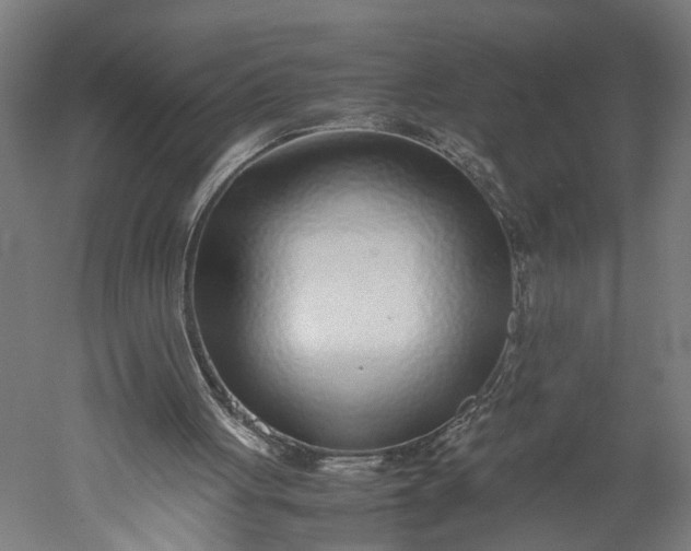 X0000051250051200507011703