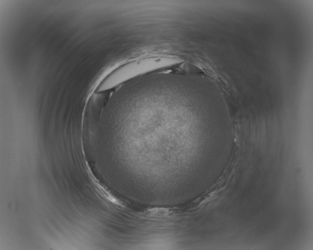 X0000051250052200507011703