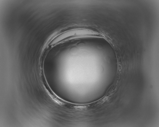 X0000051250053200507011703