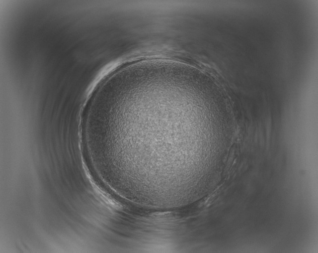 X0000051250054200507011703