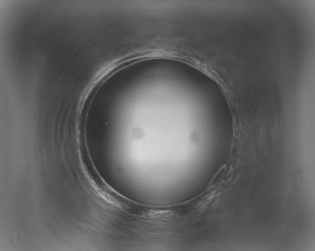 X0000051250055200507011703