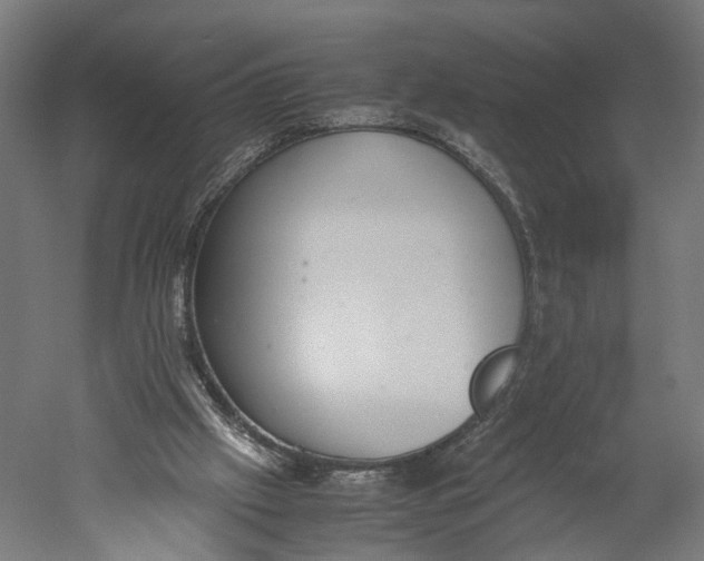 X0000051250057200507011703